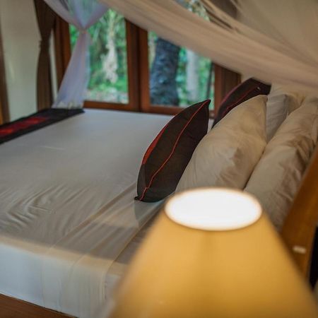 Abimana Ubud Ngoại thất bức ảnh